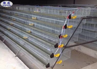 Galvanized Metal Quail Laying Cage, 6 Layers Wire Quail Laying Cages