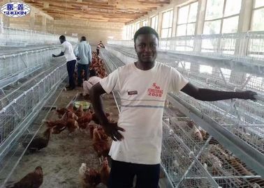 Egg Layer Chicken Cage, Ayam Petelur Ayam Kandang Unggas Untuk Kenya