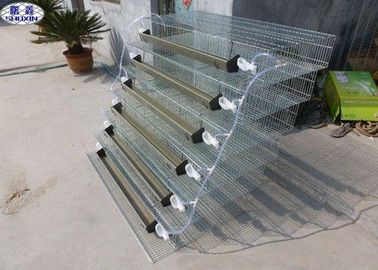6 Tingkatan Quail Bird Cage PVC Feeder Melalui Mangkuk Air Plastik Layanan OEM