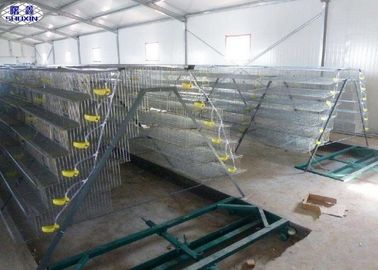 6 Lantai Steel Quail Laying Cage / Automatic Wire Quail Laying Cages
