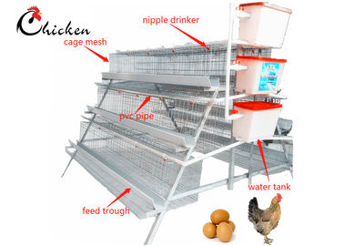 Kandang Baterai Ayam Lapis Otomatis, Kandang Ayam Modern Q235 Baja