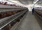 5 Kamar 160 burung Ayam Lapisan Baterai Kandang Di Peternakan Unggas Otomatis