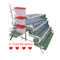 Q195 Zinc Plating Quail Laying Cages Galvanized Tipe A / H Tipe