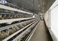 3 Tiers Unggas Baterai Kandang Untuk Peternakan Ayam Telur Unggas CE Sertifikasi