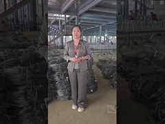 Acara Lokakarya Wire Mesh Invisible