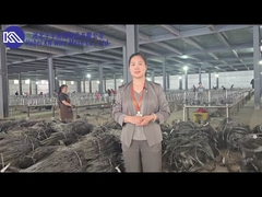 Perkenalan dan pameran bengkel jaring penghalang anti-tank