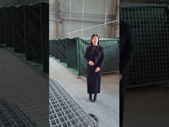 Model Penghalang Pertahanan 10 - Penjelasan Dekat