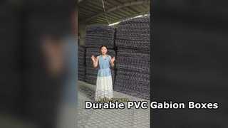 Kotak Gabion Dilapisi PVC Wire Mesh Besi Galvanis