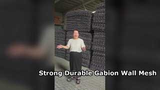 Kawat Besi Galvanis Dinding Penahan Dinding Gabion Dilapisi PVC Heksagonal Mesh 80x100mm