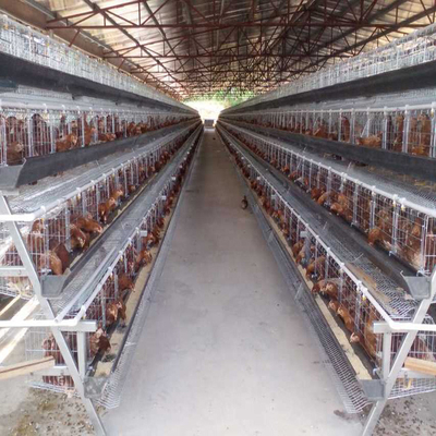 Peternakan Unggas 5 Tingkatan Lapisan Kandang Ayam 250 Burung Baterai Hewan