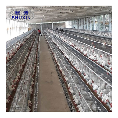 Hewan Hdg Kandang Baterai Untuk Ayam Bertelur Peralatan peternakan unggas
