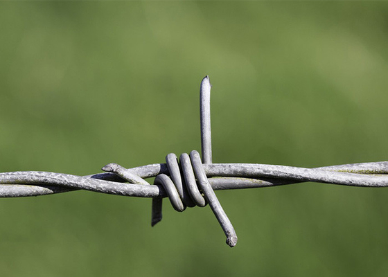 Penggunaan Dinding Penjara Ganda Strand Tradisional Twist Galvanized Barbed Wire Coils