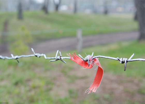Taman Anti Pencurian Single Strand Hot Dip Galvanized Steel Barbed Wire