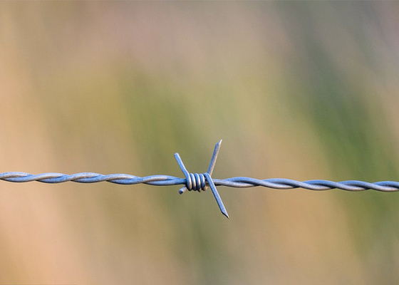 Perlindungan Pertanian Single Strand Hot Dip Galvanized Barbed Wire Harga Per Roll