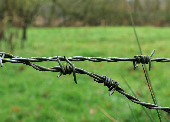 Farms Protection Single Strand Stainless Steel Barbed Wire Harga Per Roll