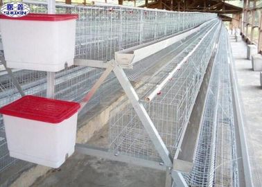 Kandang Unggas Komersial Pembongkaran Sederhana Untuk Peternakan Telur Unggas Afrika