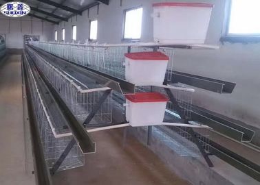 Galvanized Wire Mesh Chicken Egg Cage Untuk Sertifikasi Farm Farm PVOC