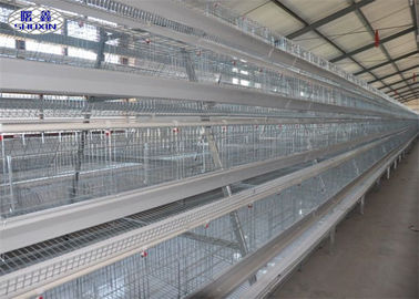 Galvanized Farm 3 Tiers Chicken Layer Cages Untuk Pakan Unggas
