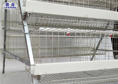 3 Tiers Chicken Layer Battery Cage Untuk Peternakan Ayam Petelur Ayam Petelur