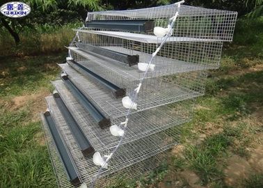 A Type Quail Battery Cages 6 Tiers Dua Sisi 800 Quails Capacity