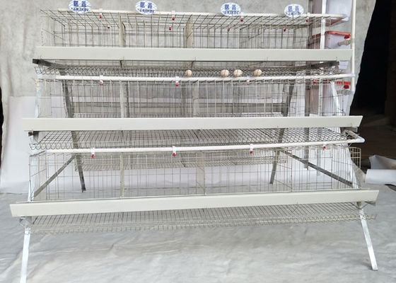 Baterai 3/4 Layers Q235 Layer Poultry Farm Cage