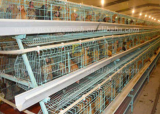 4 Tingkatan 4 Sel 128 Ayam Kapasitas Lapisan Kandang Unggas Di Peternakan
