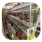Pembibitan Unggas Baterai Lapisan Kandang Ayam Telur 3 Tingkat