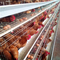 160 Birds Layer Chicken Steel Cage Peralatan Peternakan Unggas Q235 Kawat 1.95m Galvanis