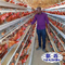 H Type Battery Layer Chicken Cage Peternakan Unggas Telur Otomatis