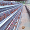 Peternakan Unggas Tipe Mini Kandang Ayam Layer 4 Tier 160 Unggas