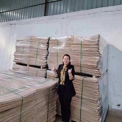Long Life UV Resistant Geotextile Material Hesco Barrier Wall Bastion Militery Barrier Basket Pagar Kantong Kontainer Pasir