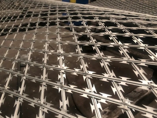 Hot Dip Galvanized Razor Barbed Wire untuk isolasi pelindung