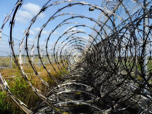 Galvanized Security Fencing Concertina Harga Anti Climb Blade Barbed Wire Penjara Pengelasan Barbed Wire