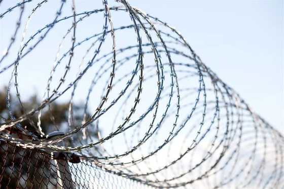 Hot Dip Galvanized Razor Barbed Wire untuk isolasi pelindung
