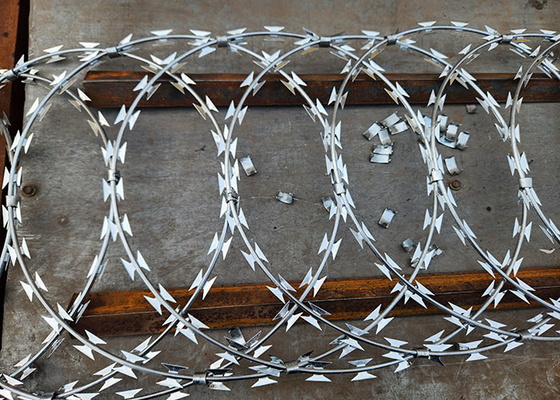 Pertahanan kuat Galvanized Razor Barbed Wire Roll untuk Aman Batas