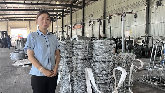 Hot Dip Galvanized Fencing High Tensile Barbed Wire 1.6Mm 300M