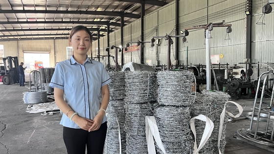 1.6mm 500m 25kgs/Roll Galvanized Barbed Wire Hot Dip