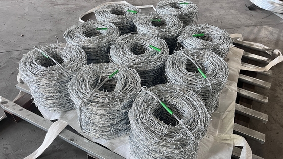 KN Jual Panas Anggar Barbed Wire Elektro Galvanized Barbed Wire