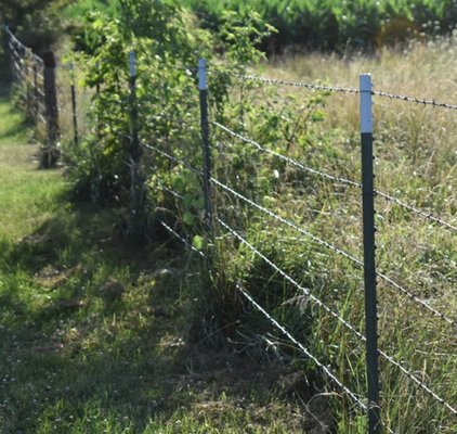 Grosir High Tensile Twist Galvanized Barbed Wire 14gauge dengan jarak barb 3 atau 4inch