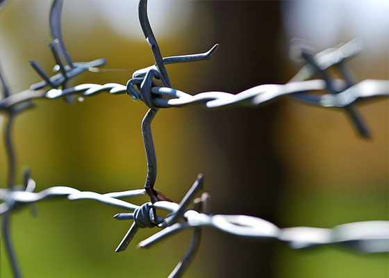 Penggunaan Tembok Penjara Pagar Ganda Strand Tradisional Twist Barbed Wire