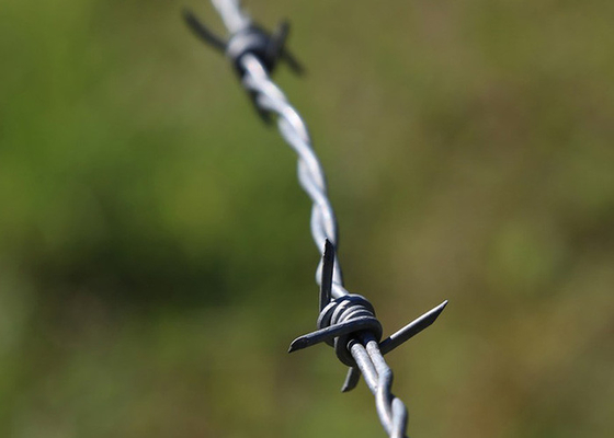 Penggunaan Tembok Penjara Anti Climb Single Strand PVC Dilapisi Iron Barbed Wire