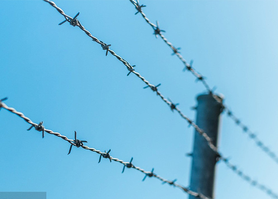 Penggunaan Tembok Penjara Anti Climb Single Strand PVC Dilapisi Iron Barbed Wire