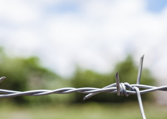 Penggunaan Dinding Penjara Ganda Strand Tradisional Twist Electro Barbed Wire Coils