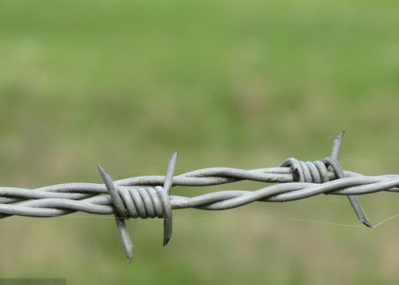 Penggunaan Tembok Penjara Anti Mendaki Double Strand Reverse Twist Barbed Wire
