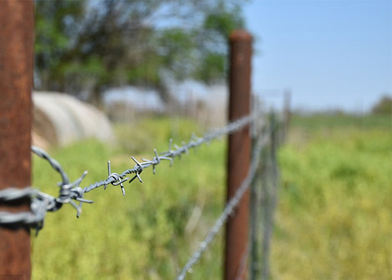 Penggunaan Tembok Penjara Anti Mendaki Double Strand Reverse Twist Barbed Wire