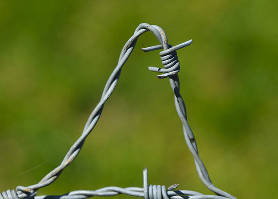 Penggunaan Dinding Penjara memutar 3 atau 4 inci Barbar Jarak Hot Dip Galvanized Barbed Wire