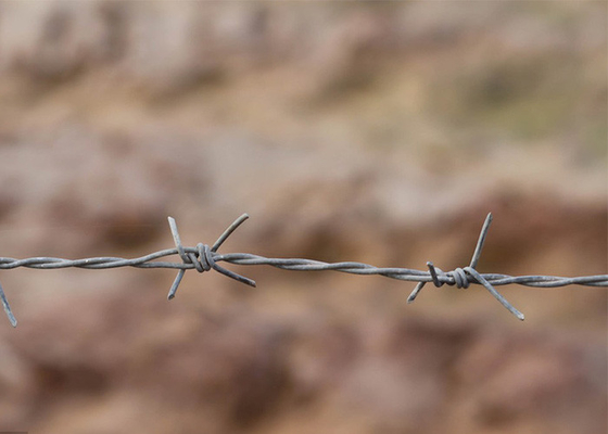 Penggunaan Dinding Penjara memutar 3 atau 4 inci Barbar Jarak Hot Dip Galvanized Barbed Wire
