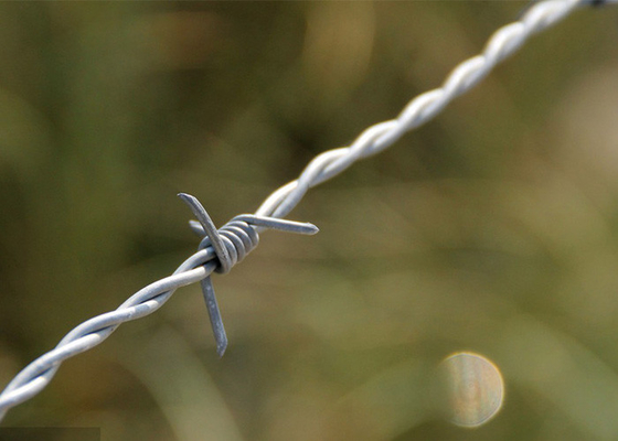 Penggunaan Tembok Penjara Anti Menekandung Galvanis Barbed Wire Roll