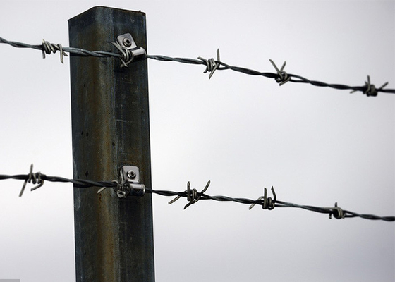 Penggunaan Tembok Penjara Anti Menekandung Galvanis Barbed Wire Roll