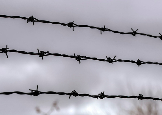 Penggunaan Dinding Penjara Genggam Ganda Dilapisi PVC / Galvanized Barbed Wire Coils